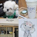 강남대로101길 15 이미지