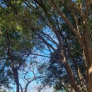 문화민박 이미지