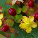 꽃보다아름다운당신 이미지