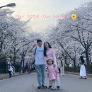 송학공원 화장실 | 5살 아이와 함께한 일상기록 | Mar. 2026 · Our Week 4 🌼
