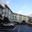 표선리-17 이미지