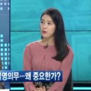 플랜100 네이버블로그