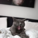 현대그린써비스 이미지