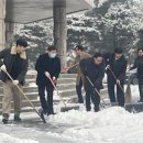 충북대, “안전한 캠퍼스 위해”전 직원 한 마음 한 뜻 제설작업 진행 이미지