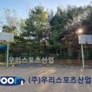 감정중학교 이미지