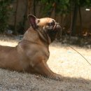 ZANYCAMP(재니캠프) 이미지