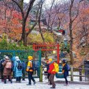 [한국산서회와 함께하는 인문산행]남산으로 흰 사슴을 매어둔 시루時樓를 찾아 이미지