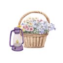 코튼캔디 이미지