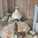 동실농장 이미지