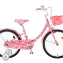 신둔천 자전거대여소 이미지