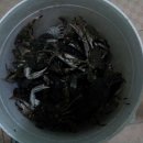 산과 바다사이 이미지