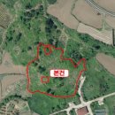 제주시 애월읍 어음리 어도초등학교 남동측 원거리 임야 2,300평 이미지