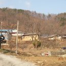운수3리 Daum카페