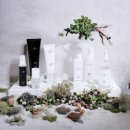 마이슈가왁싱 이미지