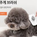 일상공감 - 성북구 삼양로 27 | 일상공감
