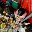 장포마차 이미지