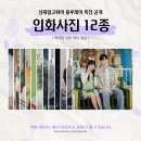 💙선업튀 블루레이 특전 ⑪ : 인화사진 12종 + 지류 액자🖼️ 이미지