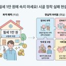 청년약국 | 월세 1만 원에 속지 마세요! 지자체 청년 혜택과 시골 정착 실패 현실 후기