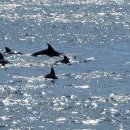 태흥목장 이미지