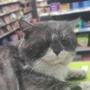 King 편의점 이미지