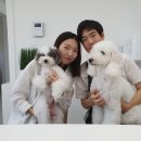 슈앤트리 이미지