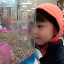 영석마트 이미지