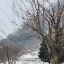 일부1리 이미지