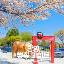 서천변로 이미지