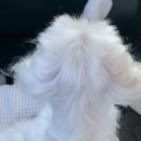 청춘감성씰핫도그삼례점 | 귀엽게 수정완료
