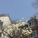 스튜디오일리 | 홍대 증명사진 잘 찍는 곳 추천 : 일리 스튜디오 촬영 후기