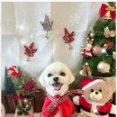 (주)뭉치 이미지