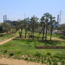 면천 자개리 유적 이미지