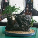 쌍책초등학교 이미지