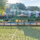 포포애견펜션 이미지