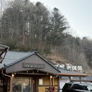 메밀사랑 | [강원도 송어 맛집] 메밀꽃사랑 송어회 내돈내산 후기