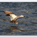 한양대 앞 이미지