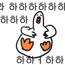 어도쇼핑