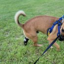 용태경로당 이미지