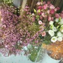 AMI PET | 🤎웰컴 블루 신고💟 2년만에nail💅필라테스 짤🧡고마운인연 및 근황💎