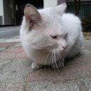 종로-종로-종로-종-114 이미지