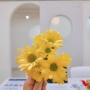 효성몬테소리어린이집 이미지