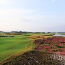 대지골프 이미지