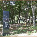 중기 효자숲 이미지