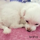 화랑동물병원 이미지