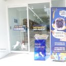 도그마켓부산