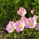 눈에띄다 이미지