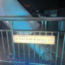 [캐럿로그] 20230408~20230416 세븐틴 스트리트, 세빛섬 후기