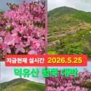 (주)서오지리꽃빛향 | 전라도 여행 꽃구경 가볼만한곳 덕유산 철쭉 등산코스 향적봉