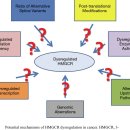 Re:Re:Current perspectives on statins as potential anti-cancer therapeutics: clinical outcomes and underlying molecular mechanisms 2019리뷰논문 이미지