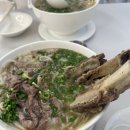 포레스트오늘숲 네이버블로그